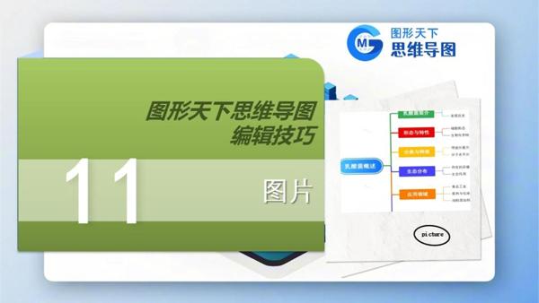 图形天下思维导图编辑技巧 - 图片