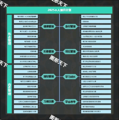 2025个人提升计划
