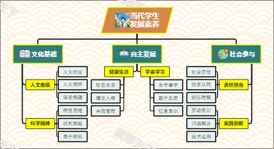 当代学生发展素养