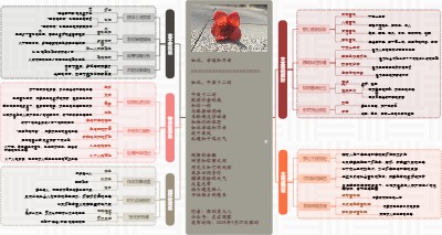 图解诗意：《如此，幸运和不幸》