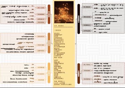 图解诗意：《打开，首先是光》
