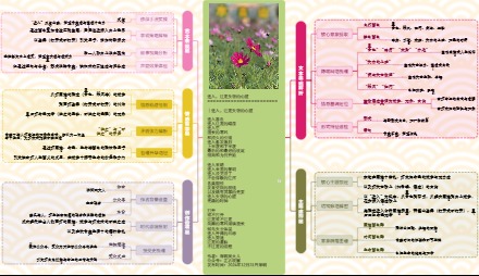 图解诗意：《进入，注定失窃的心脏》
