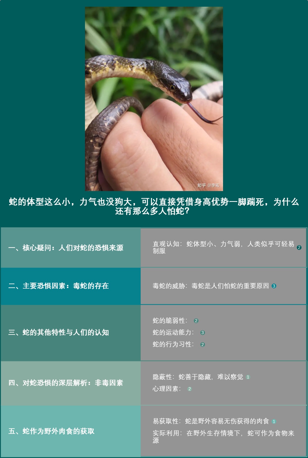 蛇的体型这么小，力气也没狗大，可以直接凭借身高优势一脚踹死，为什么还有那么多人怕蛇？