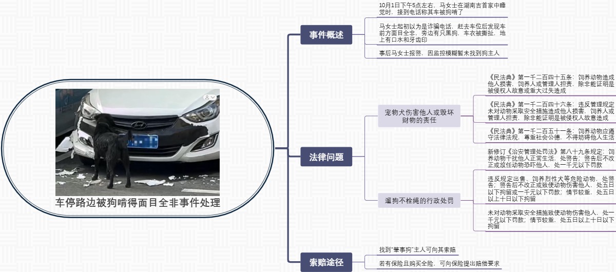 车停路边被狗啃得面目全非事件处理
