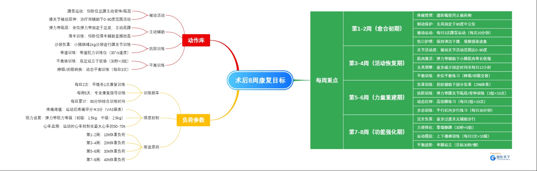 康复方案制定：术后8周康复目标