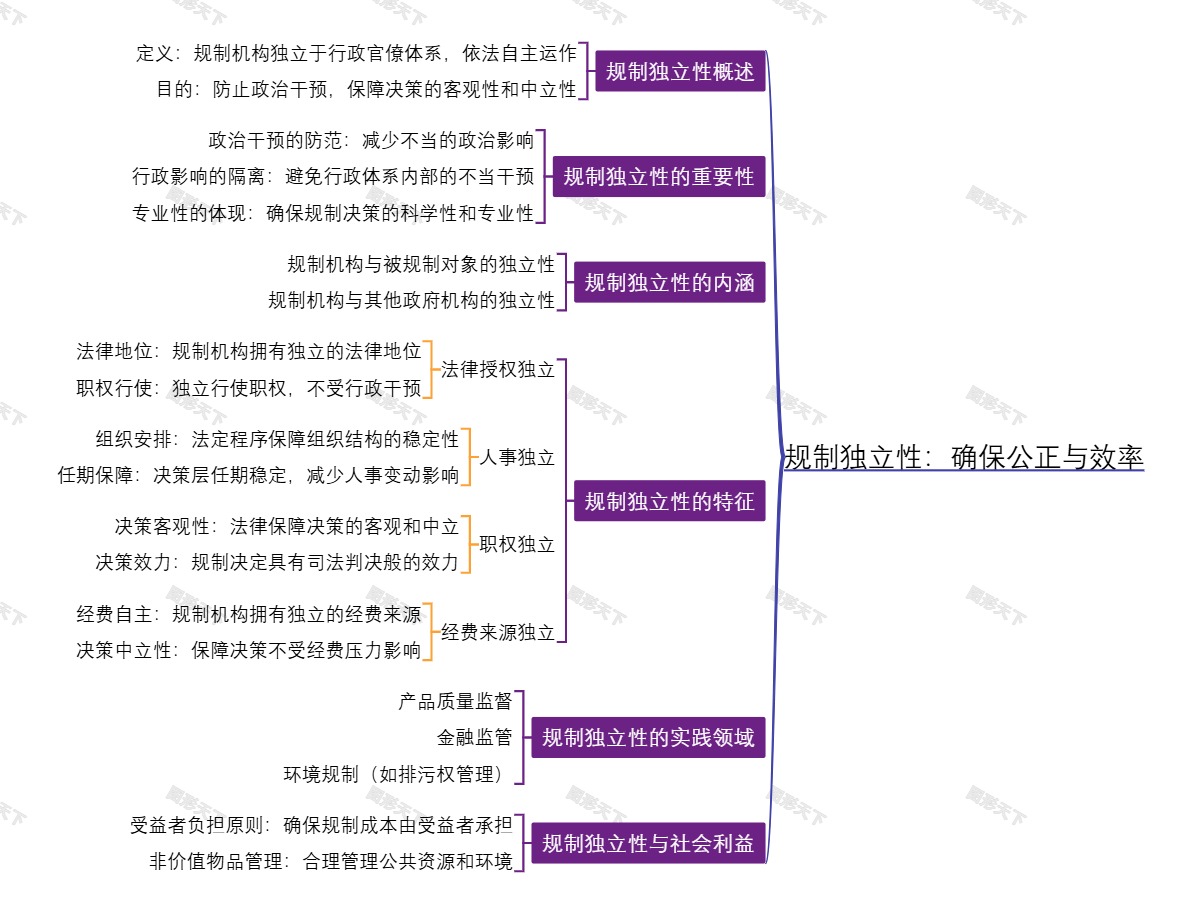 规制独立性：确保公正与效率
