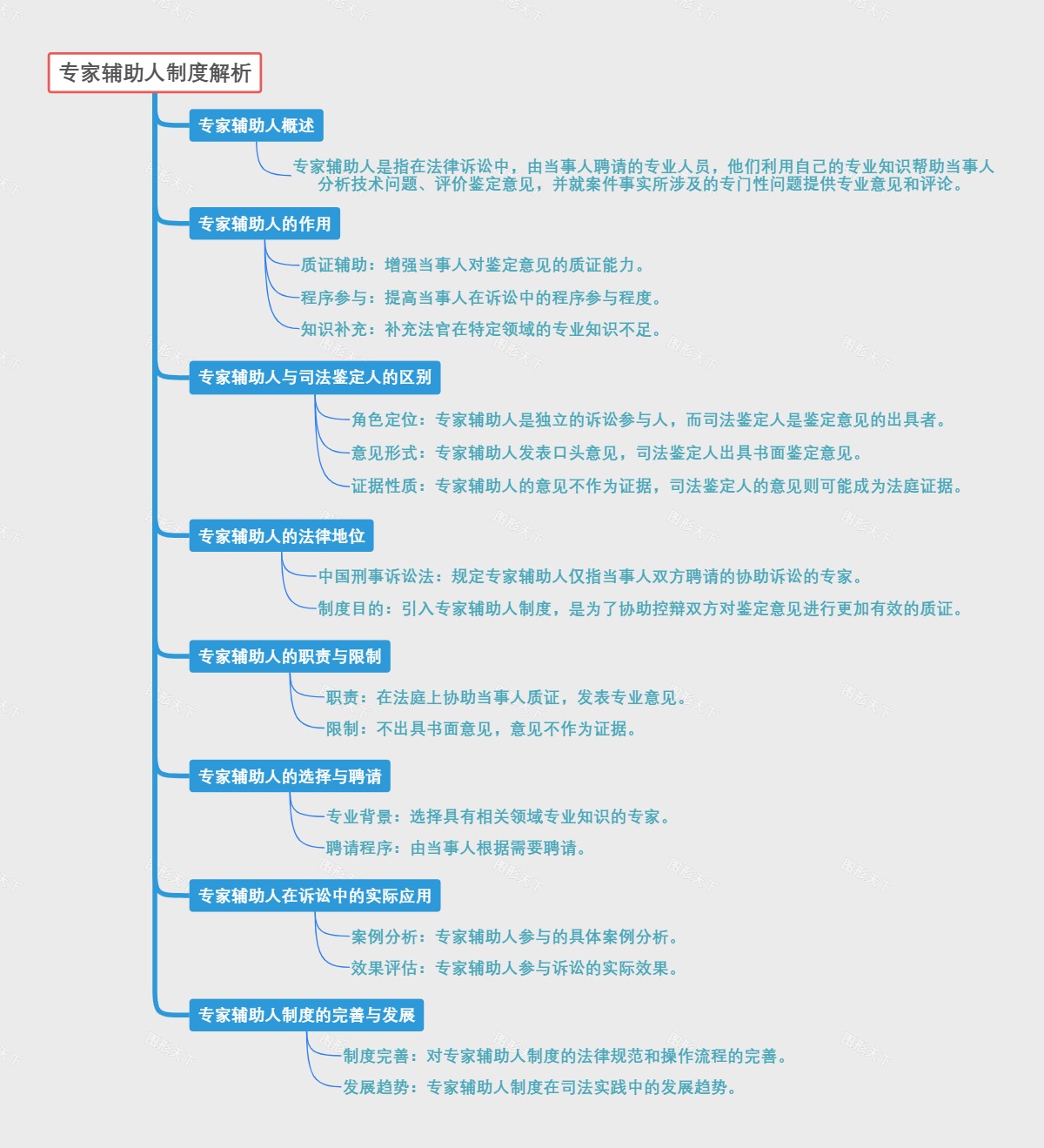 专家辅助人制度解析