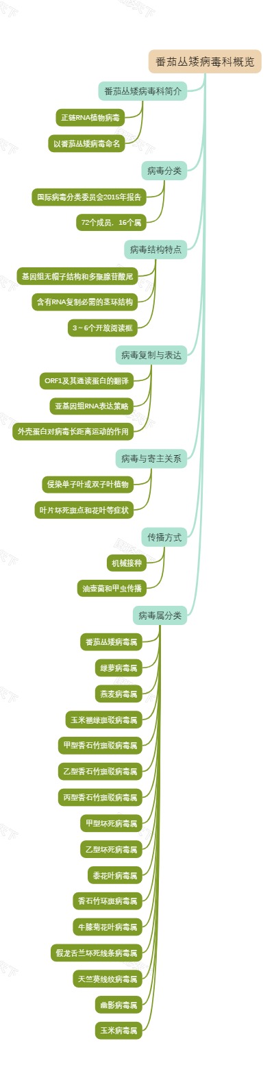 番茄丛矮病毒科概览