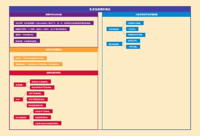 乳多泡病毒科概述