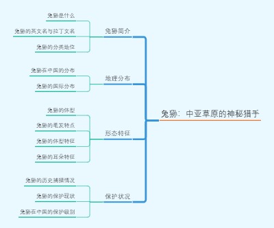 兔狲：中亚草原的神秘猎手