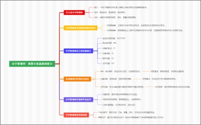 分子影像学：探索生命奥秘的窗口