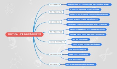 单因子试验：探索影响因素的科学方法