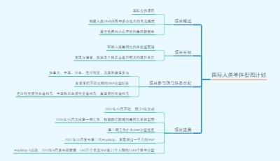 国际人类单体型图计划