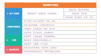 基底神经节概述