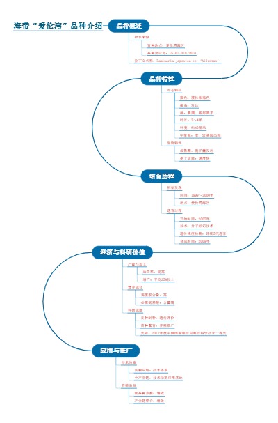 复差分方程的奇妙世界