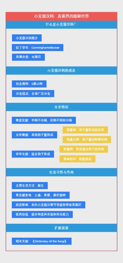 小克银汉科：真菌界的隐秘世界