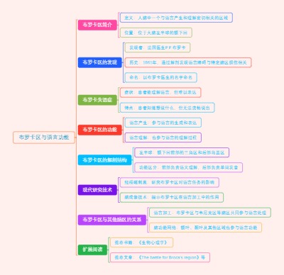 布罗卡区与语言功能