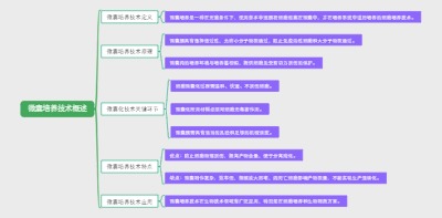 微囊培养技术概述