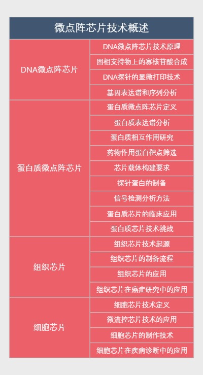 微点阵芯片技术概述