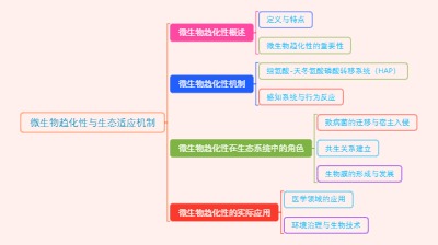 微生物趋化性与生态适应机制