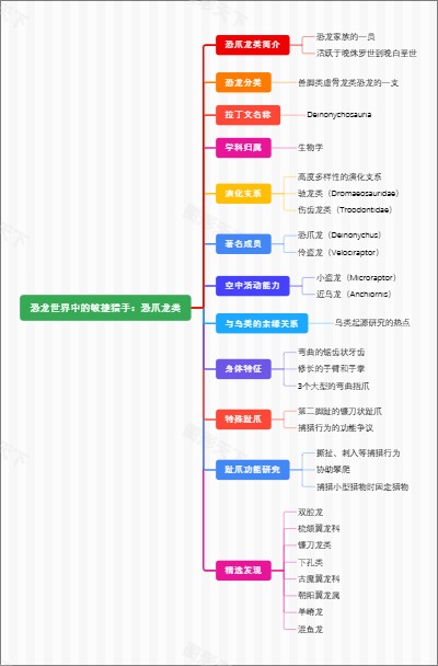 恐龙世界中的敏捷猎手：恐爪龙类