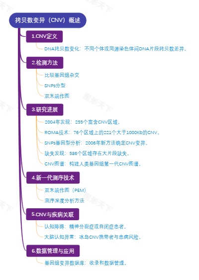 拷贝数变异（CNV）概述