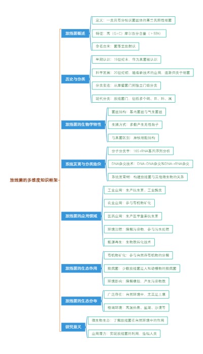 放线菌的多维度知识框架