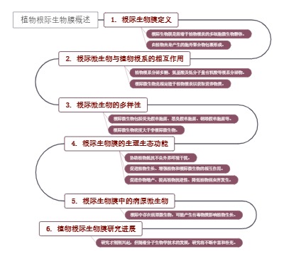 植物根际生物膜概述