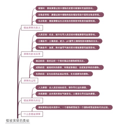 植被演替的奥秘