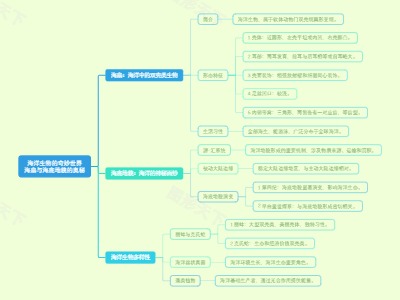 海洋生物的奇妙世界：海扇与海底地貌的奥秘