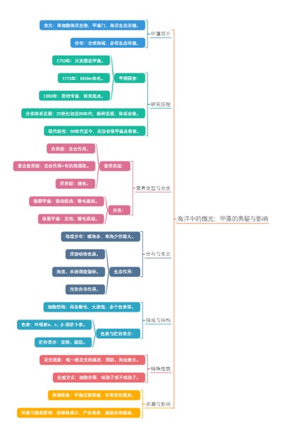 海洋中的微光：甲藻的奥秘与影响