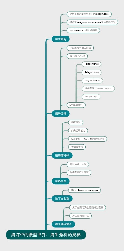 海洋中的微型世界：海生藻科的奥秘
