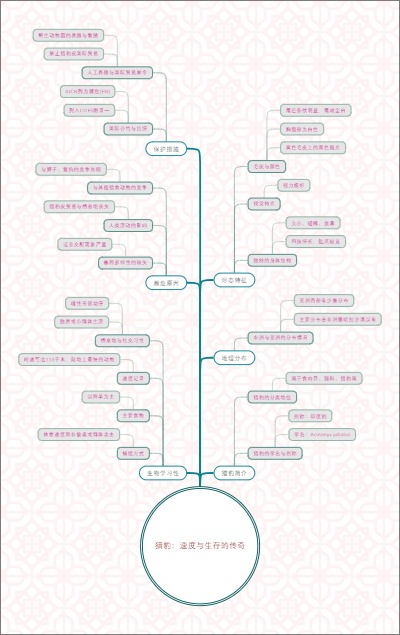 猎豹：速度与生存的传奇
