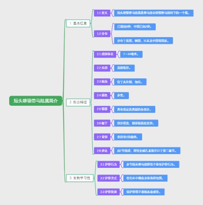 短头雄颚带马陆属简介