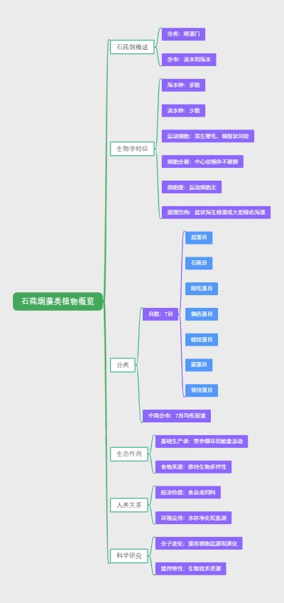 石莼纲藻类植物的多样性与生态特征