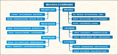 碟形洼地的生态与地理特征解析
