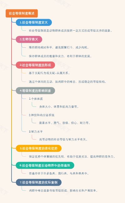 社会等级制度概述
