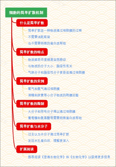 细胞的简单扩散机制