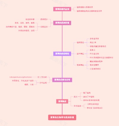 紫草的生物学与药用价值