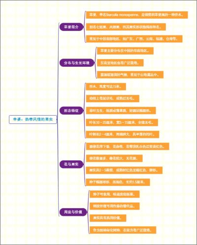 苹婆：热带风情的果实