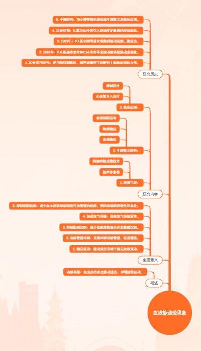 血液旋动流现象