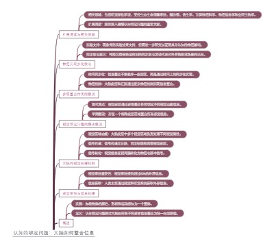 认知的绑定问题：大脑如何整合信息