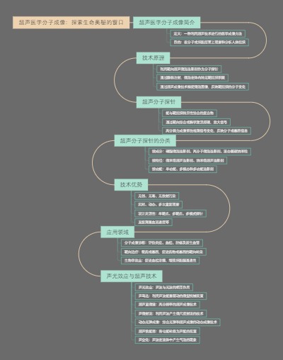 超声医学分子成像：探索生命奥秘的窗口