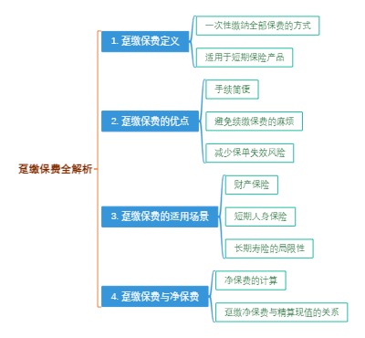 趸缴保费全解析