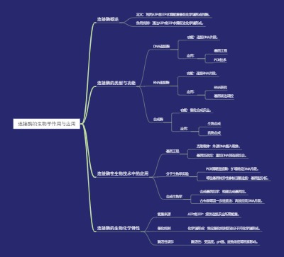 连接酶的生物学作用与应用