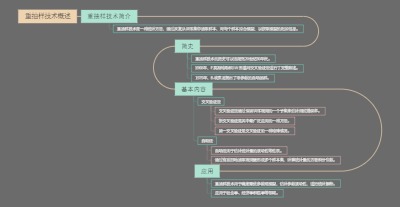 重抽样技术概述