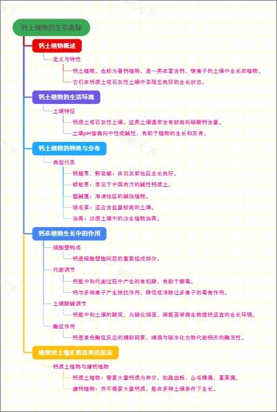 钙土植物的生态奥秘