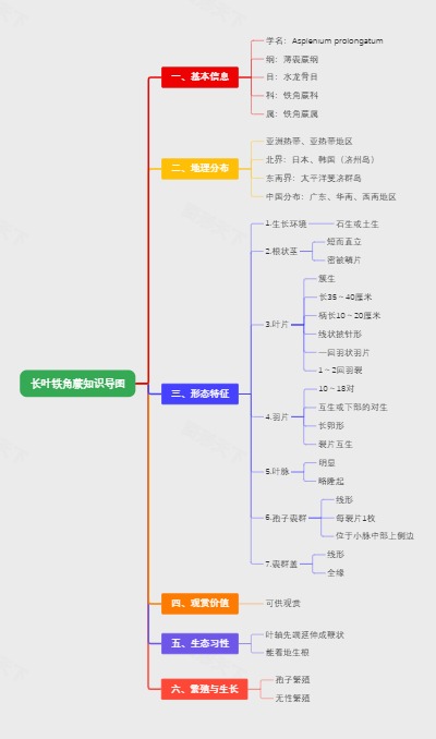 长叶铁角蕨知识导图