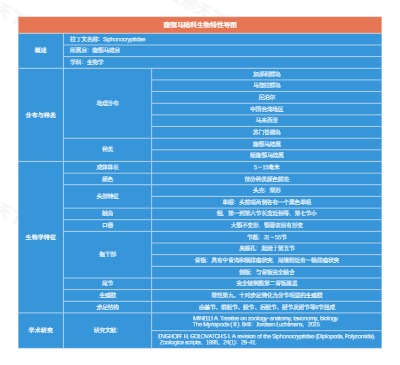隐颚马陆科生物特性导图