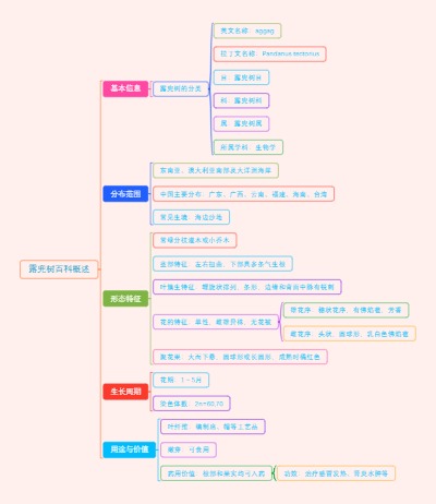 露兜树百科概述